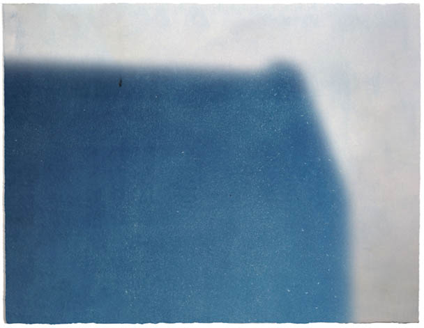 Carolyn Lambert's cyanotype from the After Image series